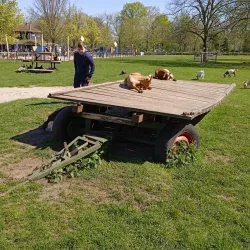 Park de Wezenlanden - Zwolle