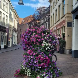 Sassenstraat - Zwolle