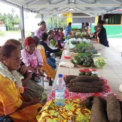 Fayaoué Village - Fayaoue