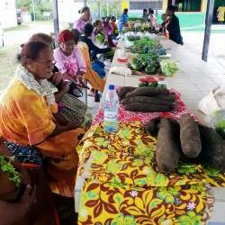 Fayaoué Village - Fayaoue