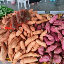 Local Markets in Fayaoué - Fayaoue