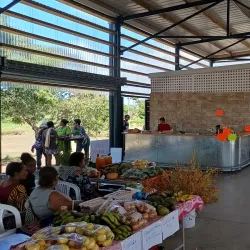 Local Markets in Fayaoué - Fayaoue