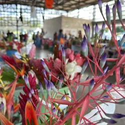 Local Markets in Fayaoué - Fayaoue