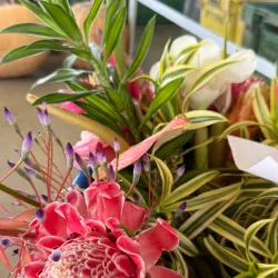 Local Markets in Fayaoué - Fayaoue