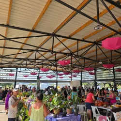 Local Markets in Fayaoué - Fayaoue