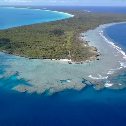 Ouvea Island Bird Watching - Fayaoue