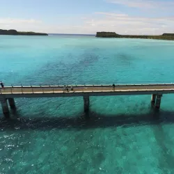 Ouvea Island Bird Watching - Fayaoue