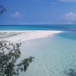 Ouvea Island Bird Watching - Fayaoue