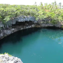 Ouvea Island Bird Watching - Fayaoue