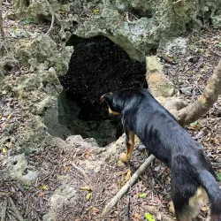 Ouvea Walking Trails - Fayaoue