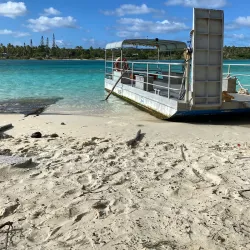 Ouvea Walking Trails - Fayaoue