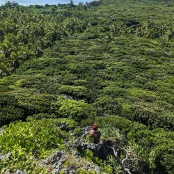 Ouvea Walking Trails - Fayaoue