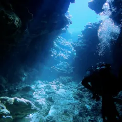 Snorkeling and Diving Spots - Fayaoue