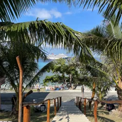 Snorkeling and Diving Spots - Fayaoue