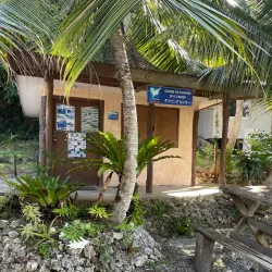 Snorkeling and Diving Spots - Fayaoue