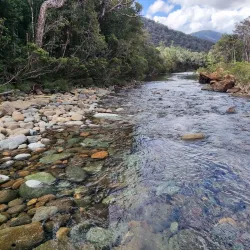 Blue River Provincial Park - Kone