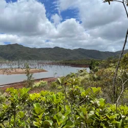 Blue River Provincial Park - Kone