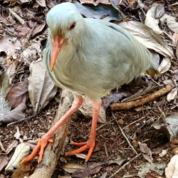 Blue River Provincial Park - Kone