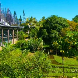 Kanak Cultural Villages - Kone