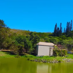 Koné Botanical Gardens - Kone