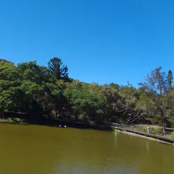 Koné Botanical Gardens - Kone