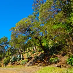 Koné Botanical Gardens - Kone