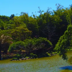 Koné Botanical Gardens - Kone