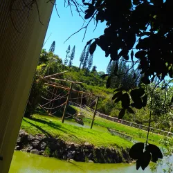 Koné Botanical Gardens - Kone