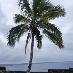 Lifou Island Excursions - Kone