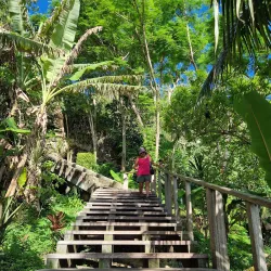 Lifou Island Excursions - Kone