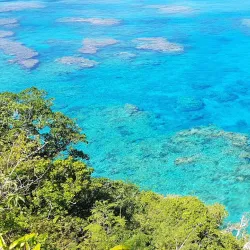 Lifou Island Excursions - Kone