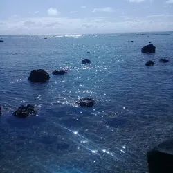 Poindimié Beach - Kone