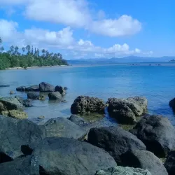 Poindimié Beach - Kone