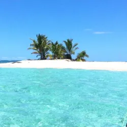 Poindimié Beach - Kone