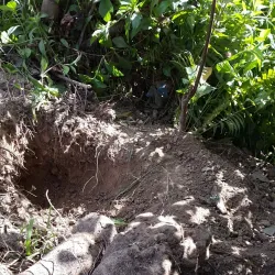 Poindimié Beach - Kone