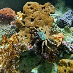 Noumea Aquarium (Aquarium des Lagons) - Noumea