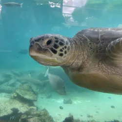 Noumea Aquarium (Aquarium des Lagons) - Noumea