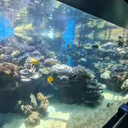 Noumea Aquarium (Aquarium des Lagons) - Noumea