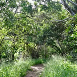 Ouen Toro Hill - Noumea