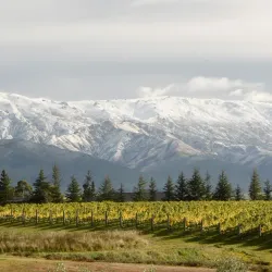 Central Otago Wine Region - Alexandra