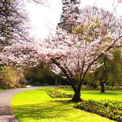 Ashburton Domain - Ashburton