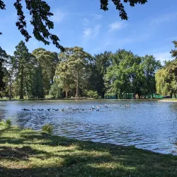 Tinwald Domain - Ashburton