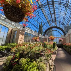 Auckland Domain - Auckland