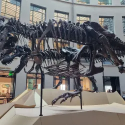 Auckland War Memorial Museum - Auckland