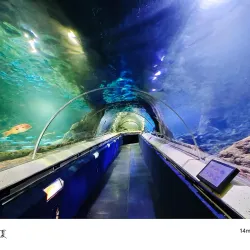 Kelly Tarlton's Sea Life Aquarium - Auckland