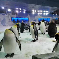 Kelly Tarlton's Sea Life Aquarium - Auckland