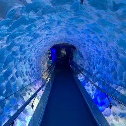 Kelly Tarlton's Sea Life Aquarium - Auckland