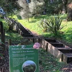 Mount Eden (Maungawhau) - Auckland