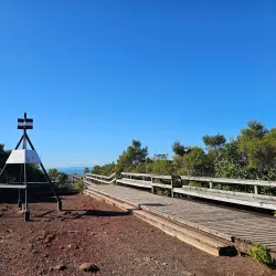 Rangitoto Island - Auckland