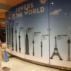 Sky Tower - Auckland